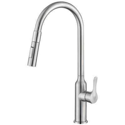 China Pull Out Spray Hot And Cold Water Flexible Hose For Kitchen Faucet Kitchen Sink Tap 304 Stainless Steel With Pull Out Spout AecTex for sale