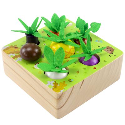 China Wooden Educational Wooden Toys For Boys And Girls Shape Size Matching Puzzle for sale