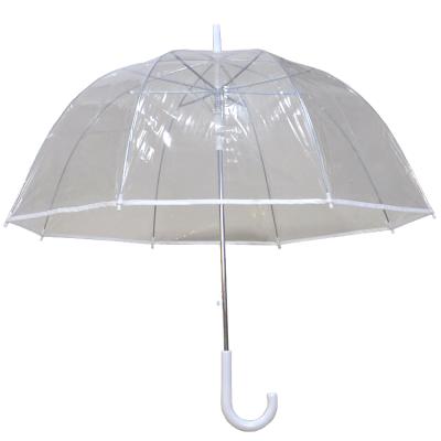 China All In 1 Shape Auto Open Umbrella OEM ODM Dome Transparent POE Umbrella for sale