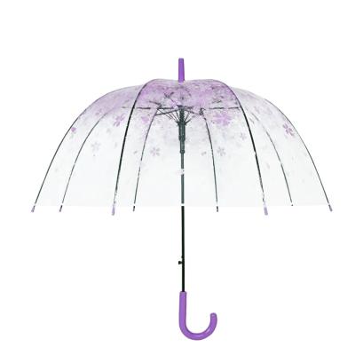 China All in 1 automatic open visible transparent dome shape poe umbrella for sale