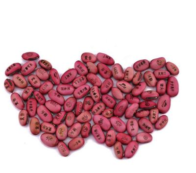 China 100% Europe Magic Love Bean News Magic Seed Growing Plant Family Office Red Jack English Bean Gift for sale