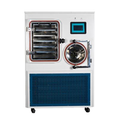 China Vacuüm Silicone Olie Verwarming Vriesdroging Machine Laboratorium Vriesdroging Machine Te koop