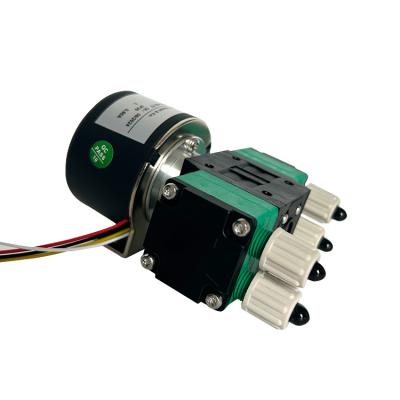 China Zwerchflächenpumpe 12v/24v Motor Miniaturpumpe widerstandsfähig gegen Korrosion des Pumpenzyklus zu verkaufen