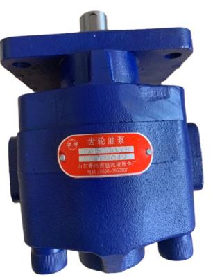 China Mini Wheel Loader CBG 2063 Gear Pump Mini Flat Head Accessories Machinery Components Longgong Laigong Shanyu Mingyu Luyu Aolite Loader Parts for sale