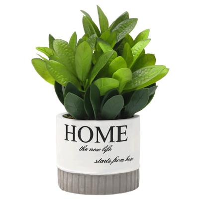 China Beautiful Gift 2021 Style Hot Selling Artificial Plant Small Cement Basin Nordic Creative Clear Office Home Office Decoration Potted for sale