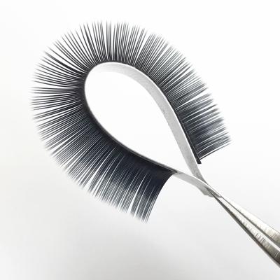 China Natural Beaten Quality 0.15 0.20mm Long Ellipse Flat Lashes Super Soft 7-18mm J Since Different C D Eyelash Extensions for sale