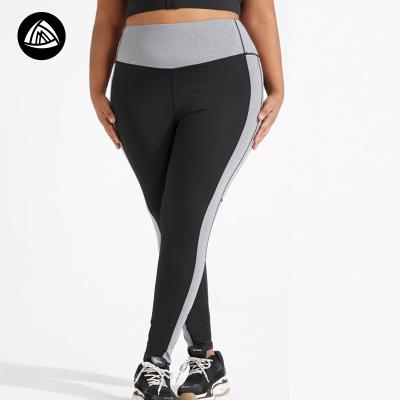 China Breathable Ladies Fitness Clothing Plus Size Fitness Wear Plus Size Fitness Leggings Plus Size Yoga Pants for sale