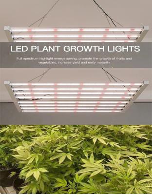 China Seed Starting Horticulture Dimmable 1000w Greenhouse Guangdong To Grow Lights For Sale 660w Led Grow Light for sale