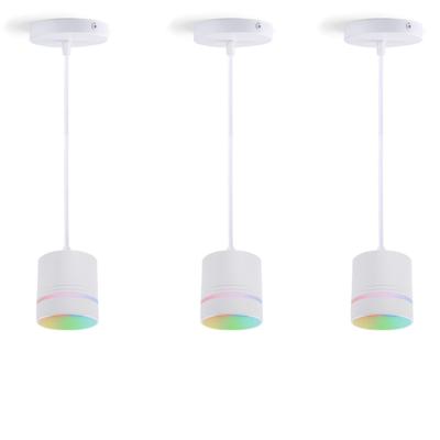 China Modern Smart Home Smart Home APP Attic Light Wifi Tuya LED Pendant Lamp Dimmable Hanging Rope Lights Lighting Chandeliers for sale