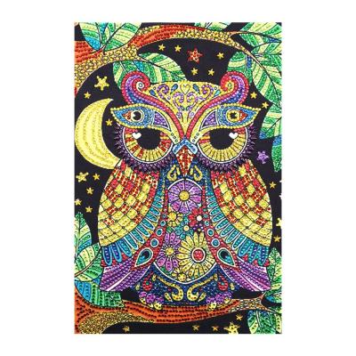 China Modern Special Shape Diamond Painting Custom Photo of Owl 5D Crystal Diamond Painting DIY for sale