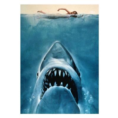 China Custom Pictures Diamond Painting Shark Horror Impressionist 5D Home Decor Full Circle Bracket DIY Diamond Painting Corridor Wall Art for sale