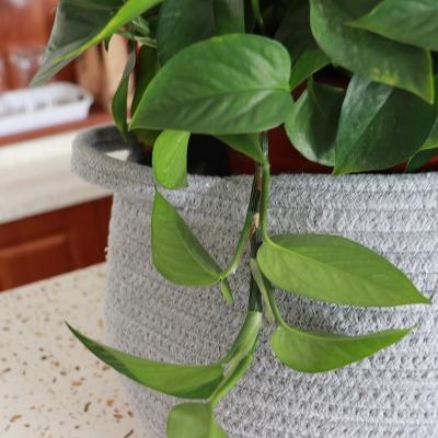 China Modern Home Decor Indoor Planter Pot Woven Storage Organizer Folding Cotton Rope Plant Free Shipping Basket for sale