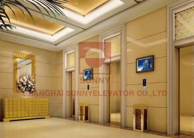 China Passagieraufzug 3C Sunny Passenger Elevator Lift Withs kleines CER lange Garantie zu verkaufen