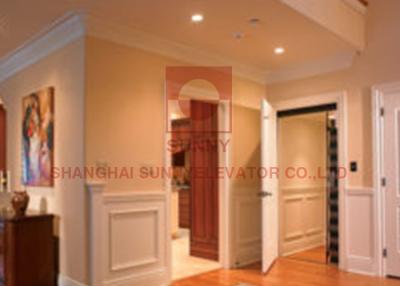 China Vvvf 0.4m/S Home Elevator Small Sightseeing Villa Passenger Elevator Lift for sale