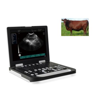 China Swine Ultrasound Scanner Diagnostic System Portable Veterinary Ultrasound Scanner for sale