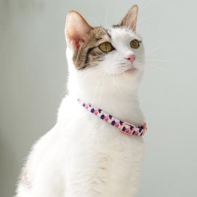 China Safety Polyester Anti Loose Adjustable Stocked Collar With Plastic Buckle Bell For Cat Kitty for sale