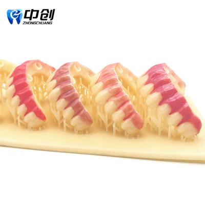 China Gum ShadeKit-4Piece Set Achieve Natural Restoration Effect with Good Gloss Retention for sale