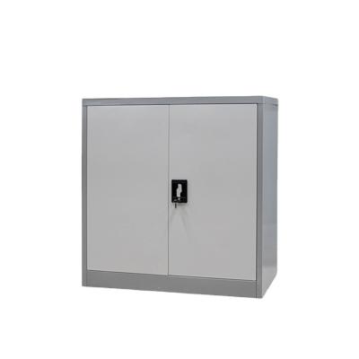 China China Manufacture Adjustable Professional Metal Handle 2 Door Small File Cabinet (Size) for sale