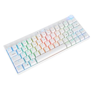 China Rechargeable Mechanical Keyboard+multimedia Control SAMA Keyboard Wireless Gaming Keyboard RGB Custom Keyboard for sale