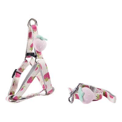 China PNB Stocked Customized Fruit Dog Leash Harness Set Adjustable Pet Vest Harnesses For Small Cat Puppy Dog Rope Collars And Harnesses for sale