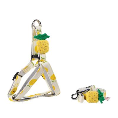 China Small and Medium Series Dog Fruit Rope Safety Traction PNB Dog Rope Stocked Cat Harness Walking Rope for sale