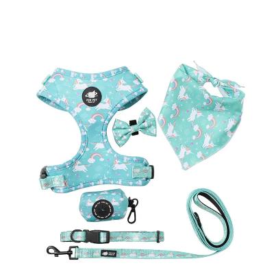 China Custom Wholesale Personalized Logo Designer Luxury Cat Dog Pet Collars Leashes Harnesses Set Custom Dog Harness for sale