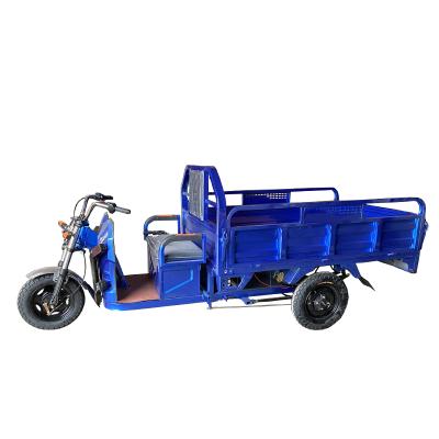 China Electric Trike 3 Wheel Electric Bike Cargo Tricycles Three Wheel Electric Tricycle for Cargo and Passenger for sale