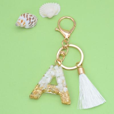 China New Fashion Style Welwish Bag Custom Car Key Chain Pendant Acrylic Accessories With Tassel for sale