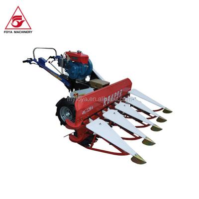 China High Speed ​​Gasoline Rice Gasoline Hand Rice Wheat Harvester Agricultural Harvester Machine for sale