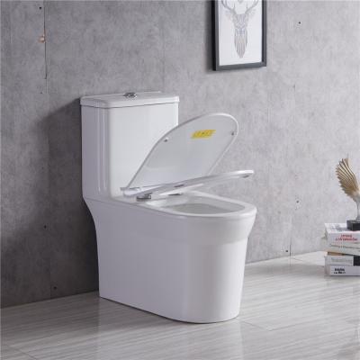 China WC Wholesale Vanity Double-Flow Bathroom Strap Porcelain One Piece Toilet for sale