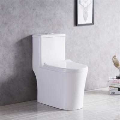 China Promotional Modern Luxury White Ceramic Double-flush Wc One Piece Toilet For Bathroom for sale