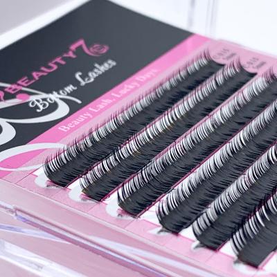 China Wholesale Natural Lower Highlights Under Classic Lower Lower Highlights of Different Highlights Eyelash Extensions for sale