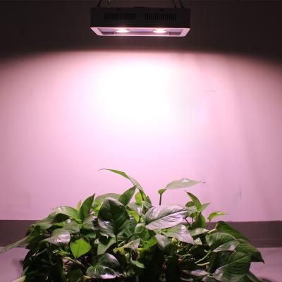 China COB Led To Grow Light 1800W Hps Hid Grow Light Commercial COB 1800 Watt Led Grow Light Bar Strip Grow for sale