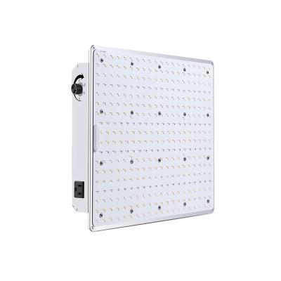 China Flexible Dimming 1200W Led Grow Light Full Spectrum Led Commercial Grow Led Light For Greenhouse Horticulture for sale