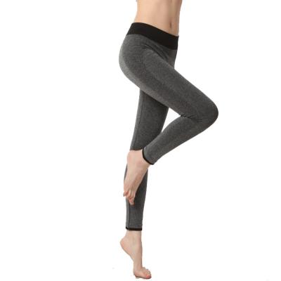 China Wholesale Fitness Gym Workout Breathable Yoga Leggings Seamless Women for sale