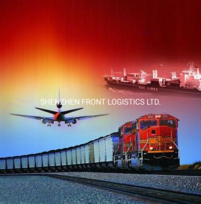 China Mensajero expreso rápido mundial Logistics Service To Haití de China en venta