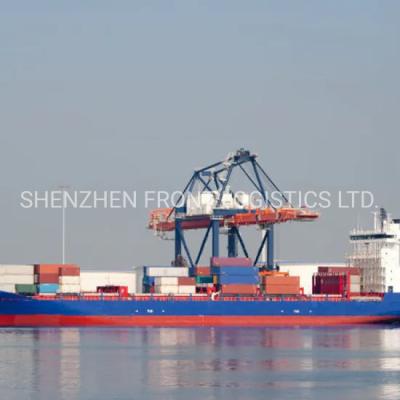 China Worldwide Sea Freight Shipping From China To Hamburg Germany for sale