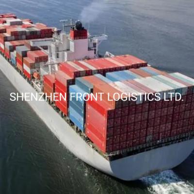 China Seeeilversandseefracht-Logistik von China nach Belgien zu verkaufen