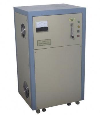 China Plant 12g/hour ozone generator for water treatment en venta