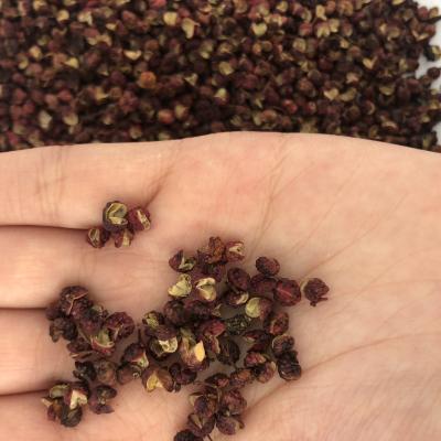 China Factory Direct Sale Nuisanceless Dry Red Zanthoxylum Rhetsa Sichuan Organic Pepper Powder for sale