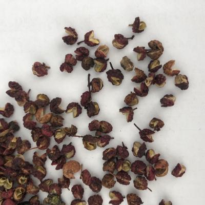 China Dried Red Hot Zanthoxylum Rhetsa Sichuan Pepper Certified Organic Powder for sale