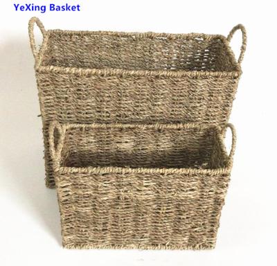 China Different type of plant plankton basket best viable prices for sale