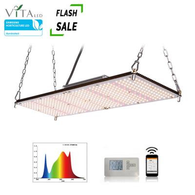 China Seed Starting 1000W Samsung Lm281b+ Grow Light Full Spectrum in 3'x3 Sunlike Quantum Quiet Grow Lamp for Greenhouse Veg and Flower for sale