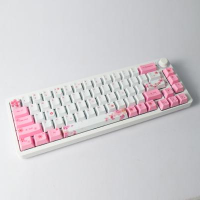 China Fashionable High Quality 87 Electronic Keys 60% Backlight RGB Fully Programmable Wired Mechanical Keyboard for Gamer for sale