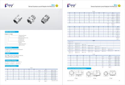 China Production of BGJ series explosion-proof adapters and reducers BGJ for sale