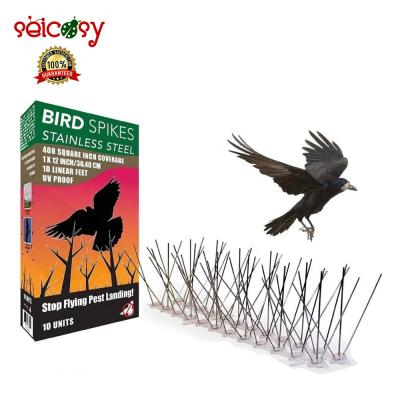 China Sustainable Wide Anti Bird Nails Stainless Steel Pigeon Repellent Strips Pigeon Control for sale