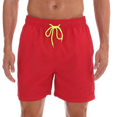 China Breathable Casual Jogger Nylon Shorts Mens Beach Pants Speed ​​Breathable Dry Shorts Waterproof Plus Size Training Shorts for sale