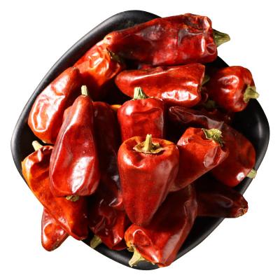 China Medium Taste Dry Spicy Paprika Dried Bullet Chilli Red Cayenne Pepper for sale