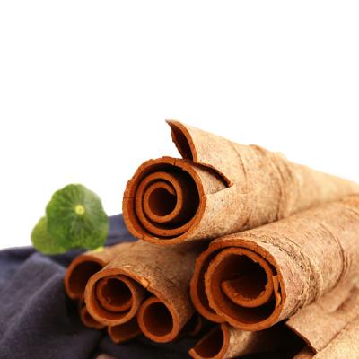 China Large dry cinnamon in stock with good price for sale