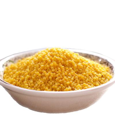 China Full Natural Malted Millet Dry Viscous Yellow Grain for sale